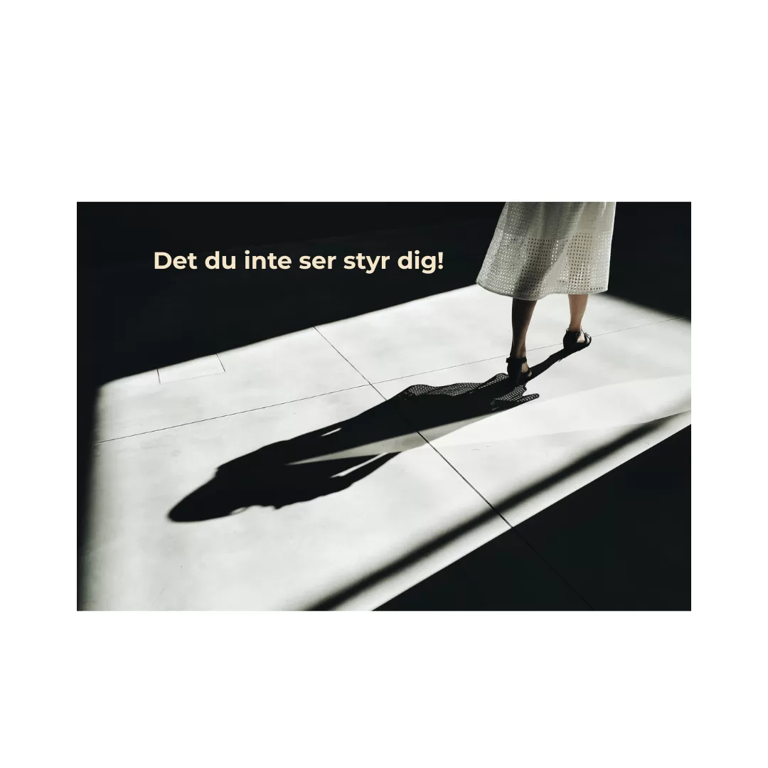 Varför ledare behöver möta sina skuggsidor