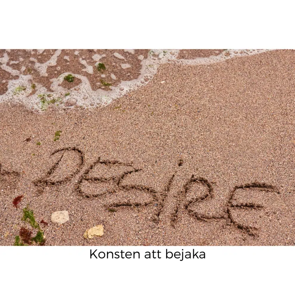 Bejaka dina begär