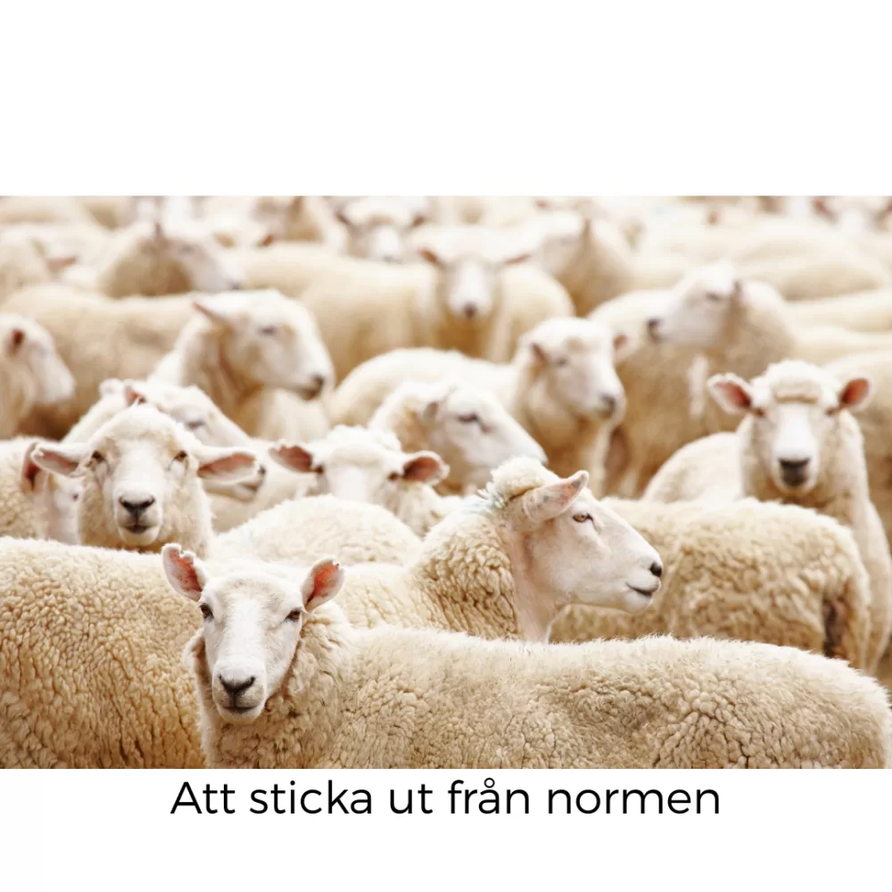 Skuggan av att leva mediokert liv