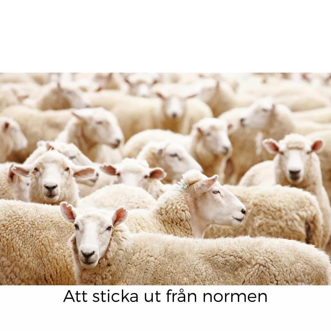 Skuggan av att leva mediokert liv